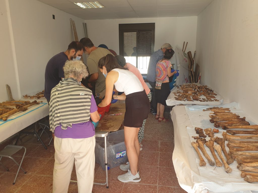 Madridejos